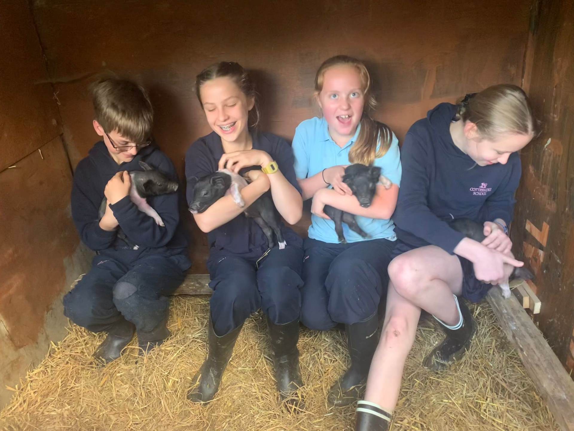 Children holding piglets