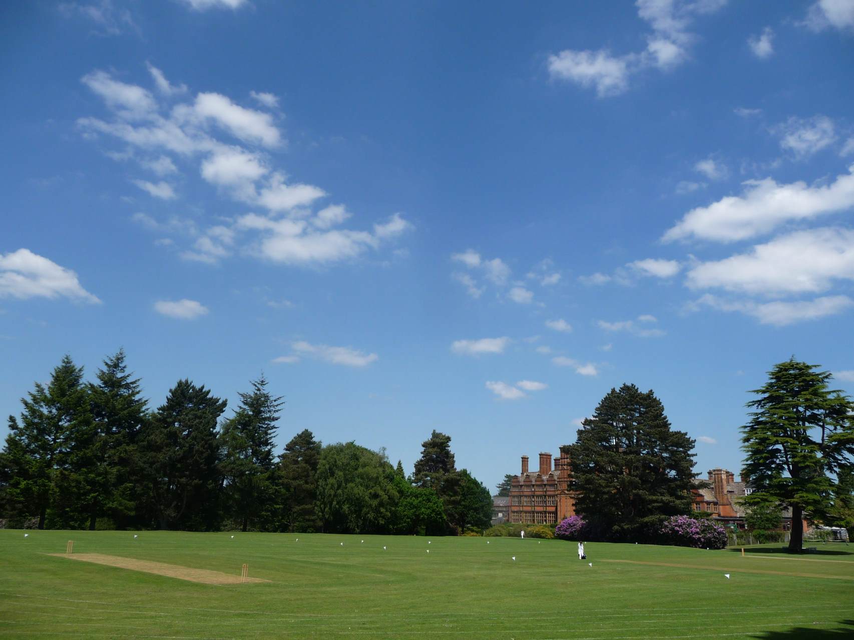 view of the cricket pitch